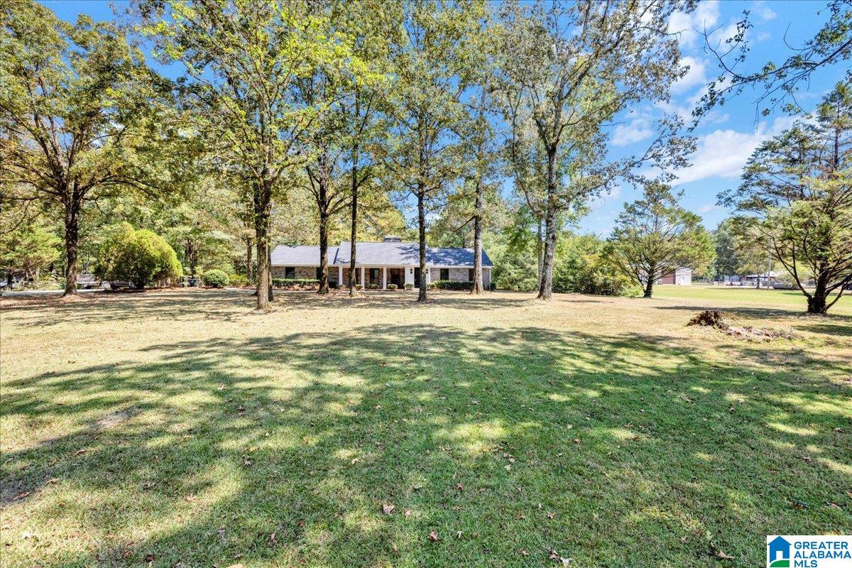 960 Camp Branch Road Alabaster, AL 35007 - Photo 7 of 78
