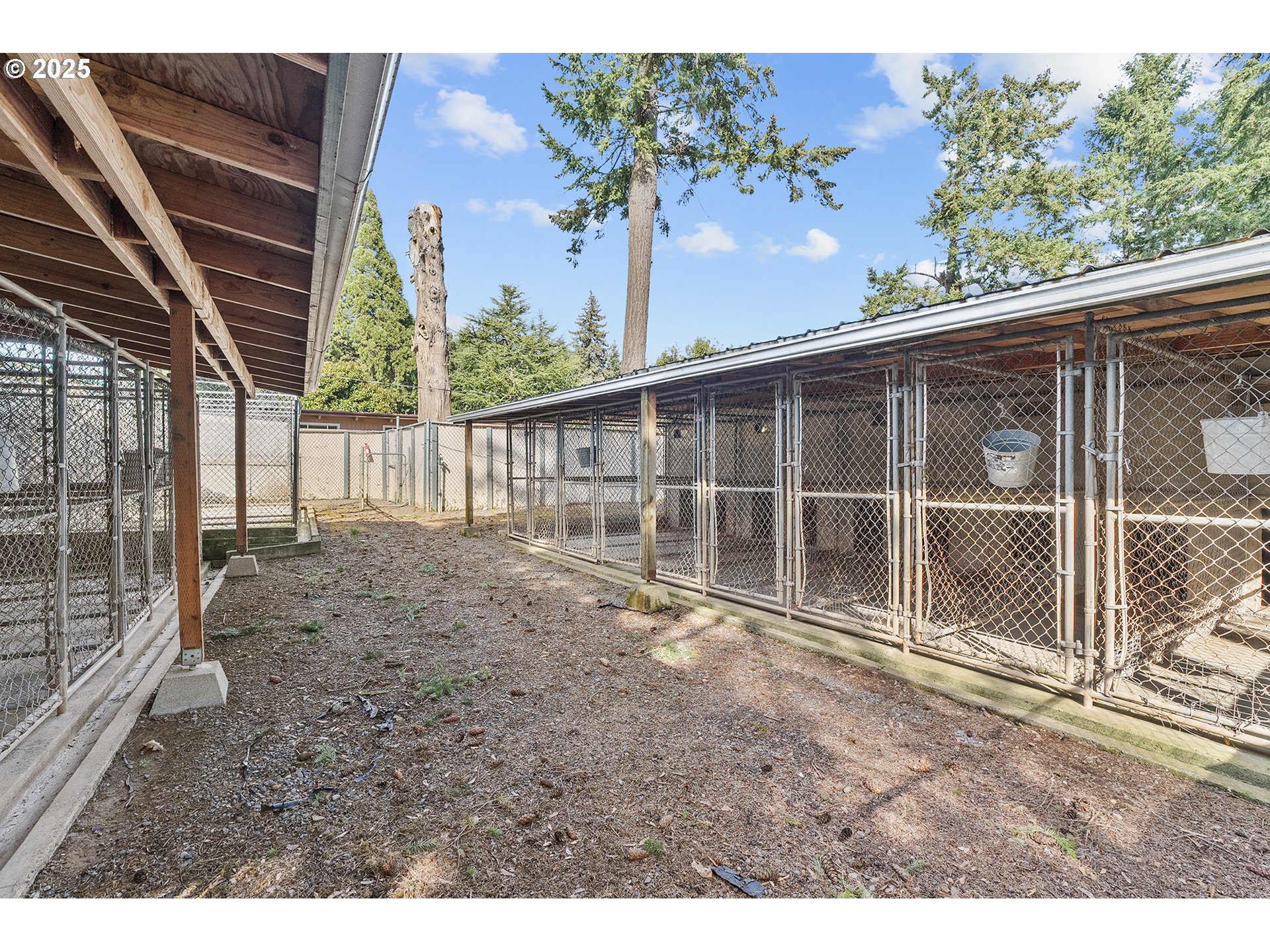 12950 South New Era Road Oregon City, OR 97045 - Photo 37 of 45 a view of backyard with green space