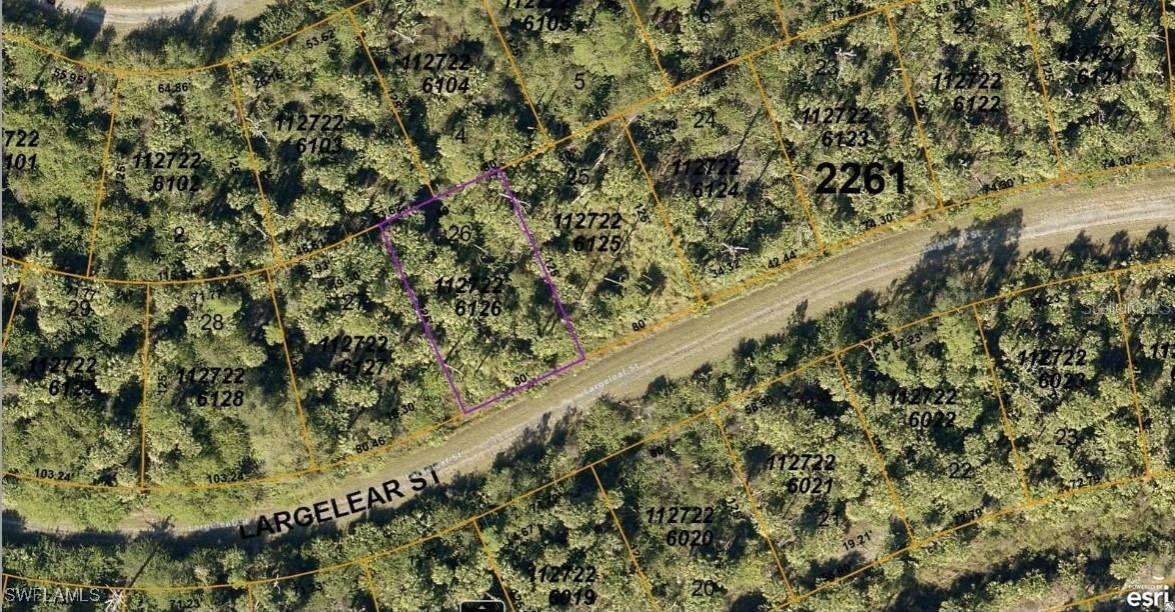 a close up of a plant