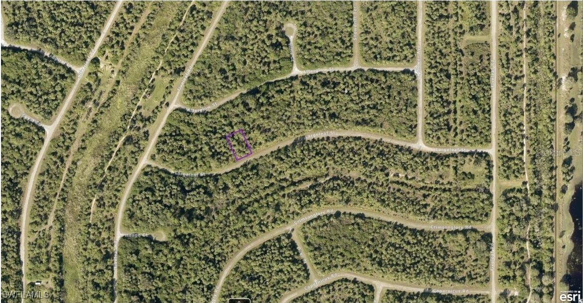 1127226126 Largeleaf Street North Port, FL 34288 - Photo 2 of 43 a bathroom with a shower