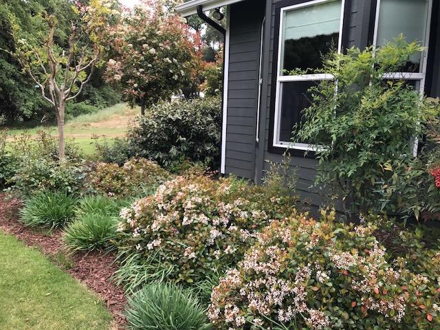 29233 Burrough North Road Tollhouse, CA 93667 - Photo 36 of 42 Gallery Image 36