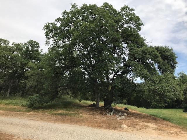 29233 Burrough North Road Tollhouse, CA 93667 - Photo 40 of 42 Gallery Image 40