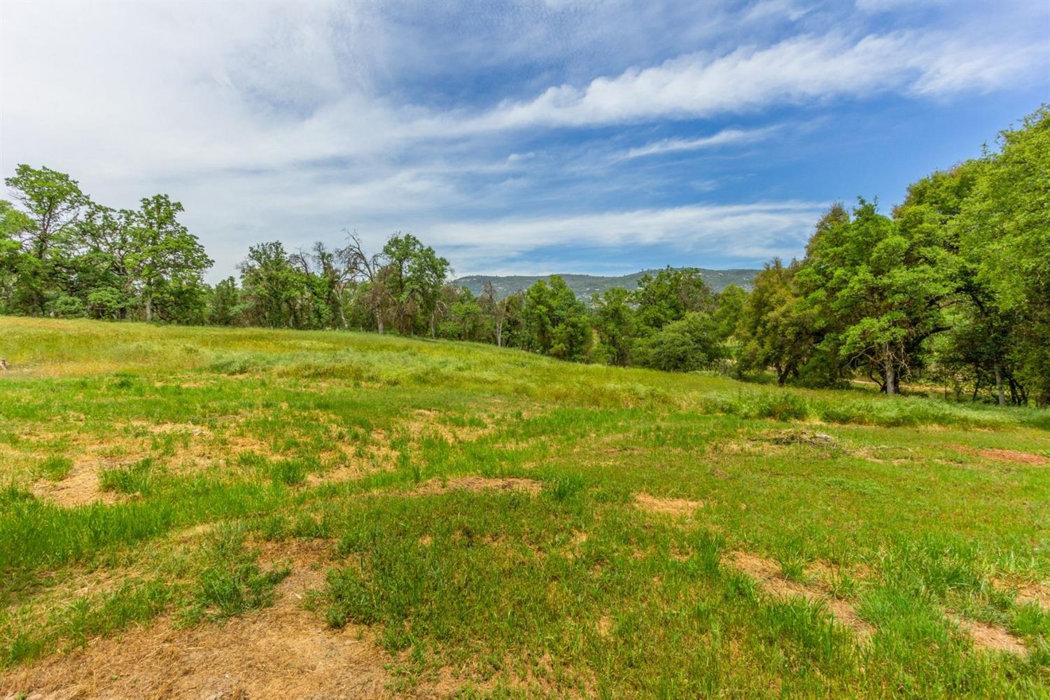 29233 Burrough North Road Tollhouse, CA 93667 - Photo 42 of 42 Gallery Image 42