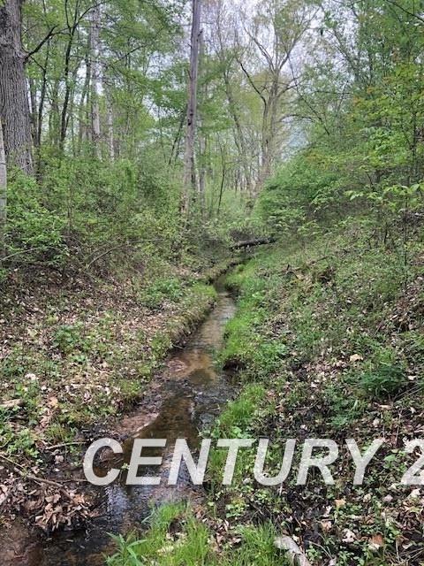 9085 Birch Run Road Millington, MI 48746 - Photo 17 of 31