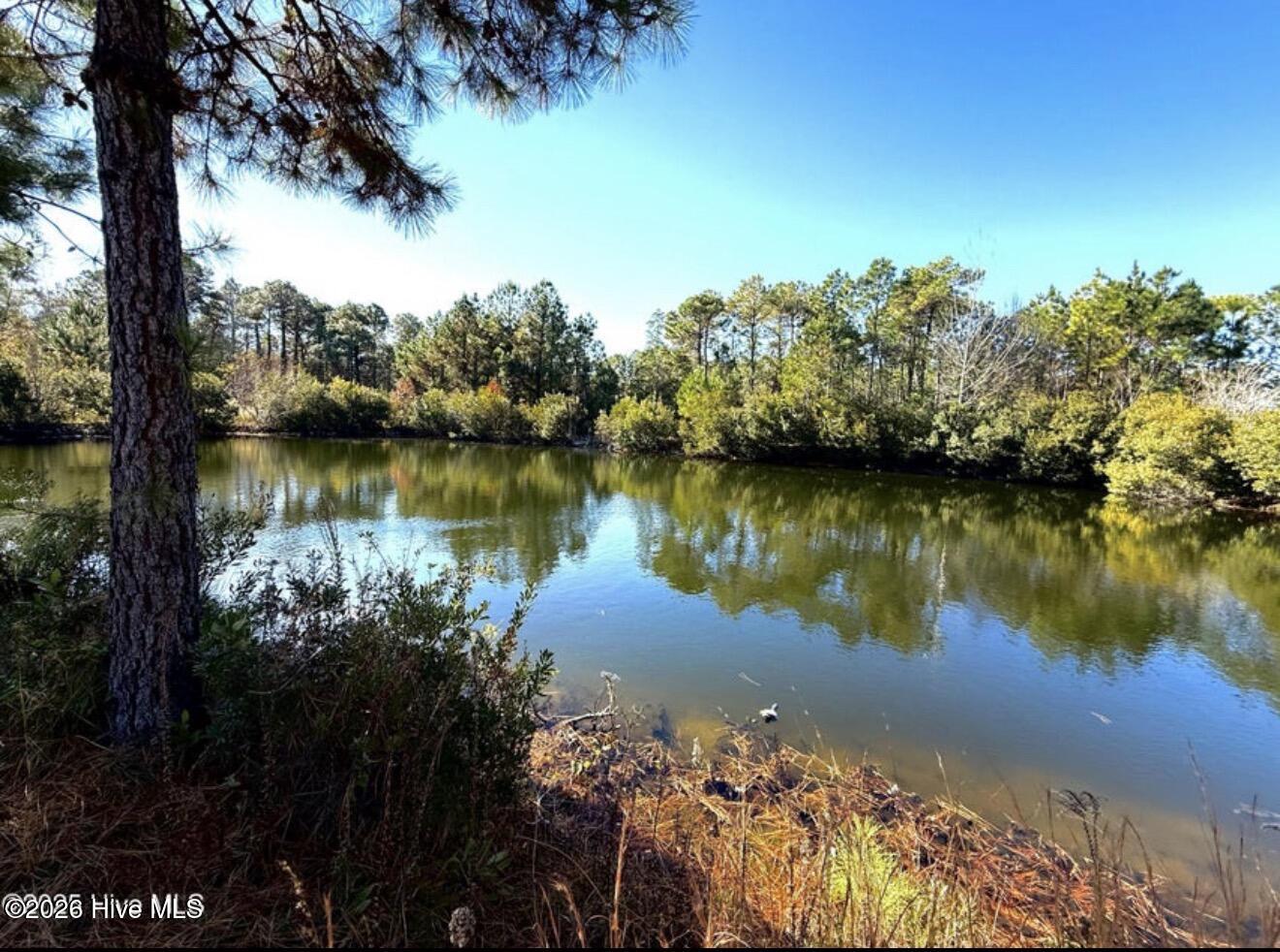 531 Eagle Road Newport, NC 28570 - Photo 13 of 14 Pond