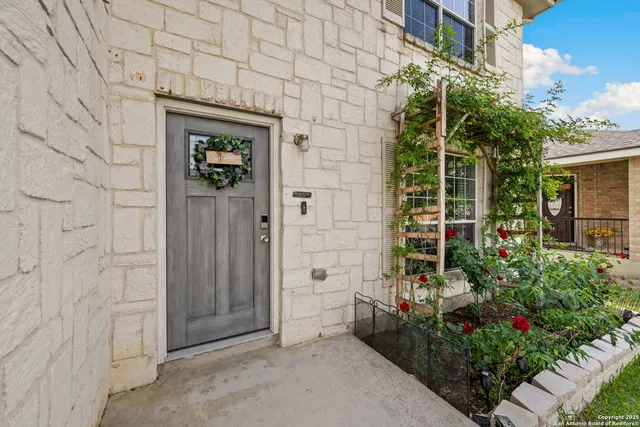 view of a potted plant in front of a building