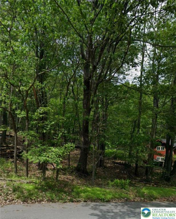 11 Seneca Road Mount Pocono, PA 18344 - Photo 2 of 2