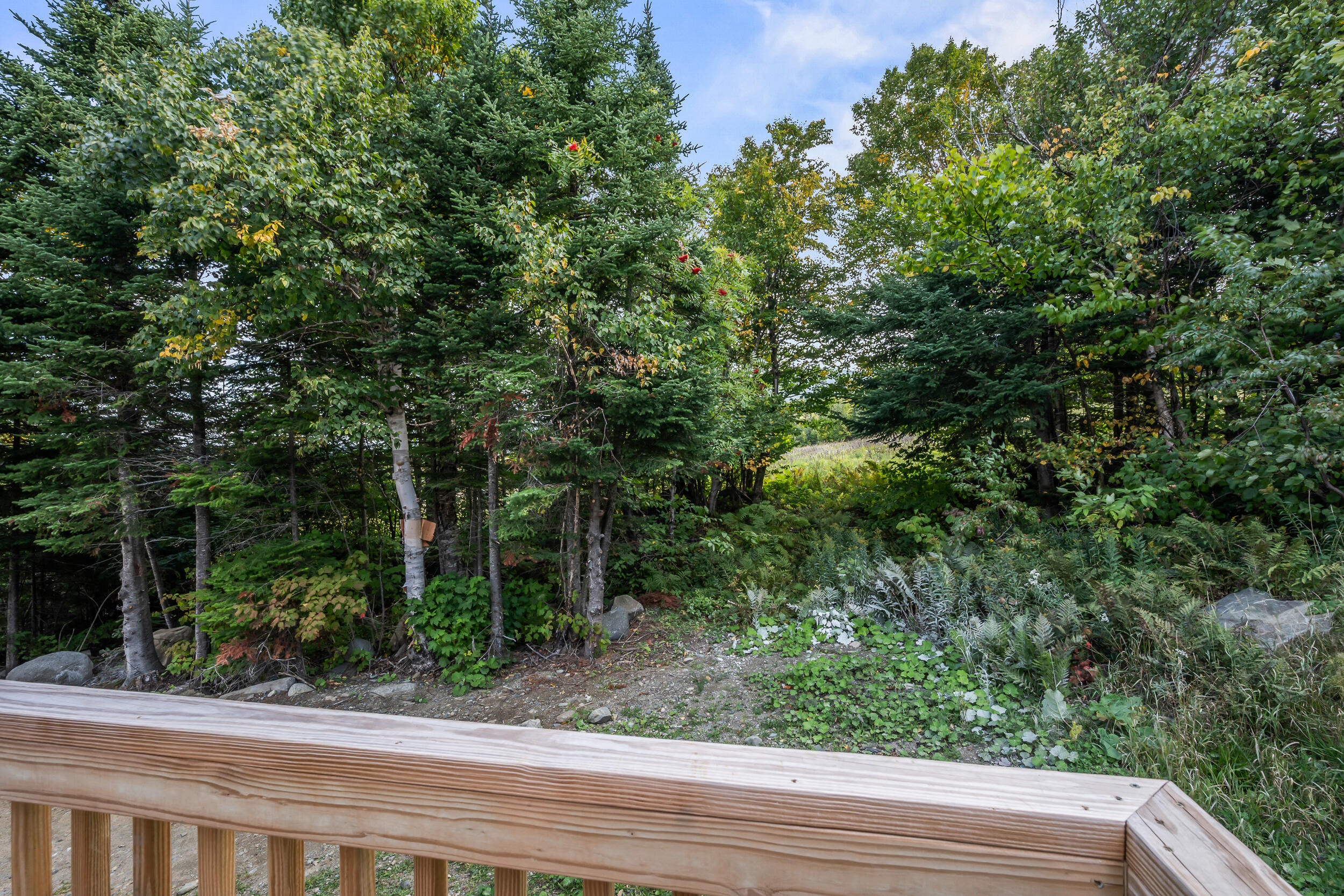 28 Rock Pond Road, Unit 1008 Sandy River Plt, ME 04970 - Photo 48 of 48 DSC_0147