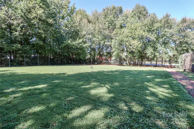 a view of a grassy field with trees
