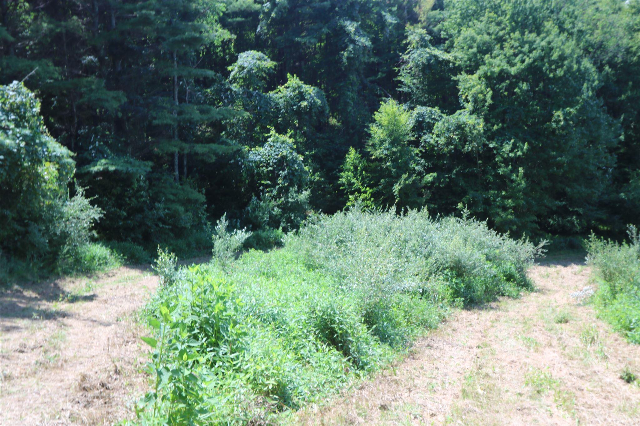 2201 Black Ridge Road Southwest Floyd, VA 24091 - Photo 7 of 22 Gallery Image 7