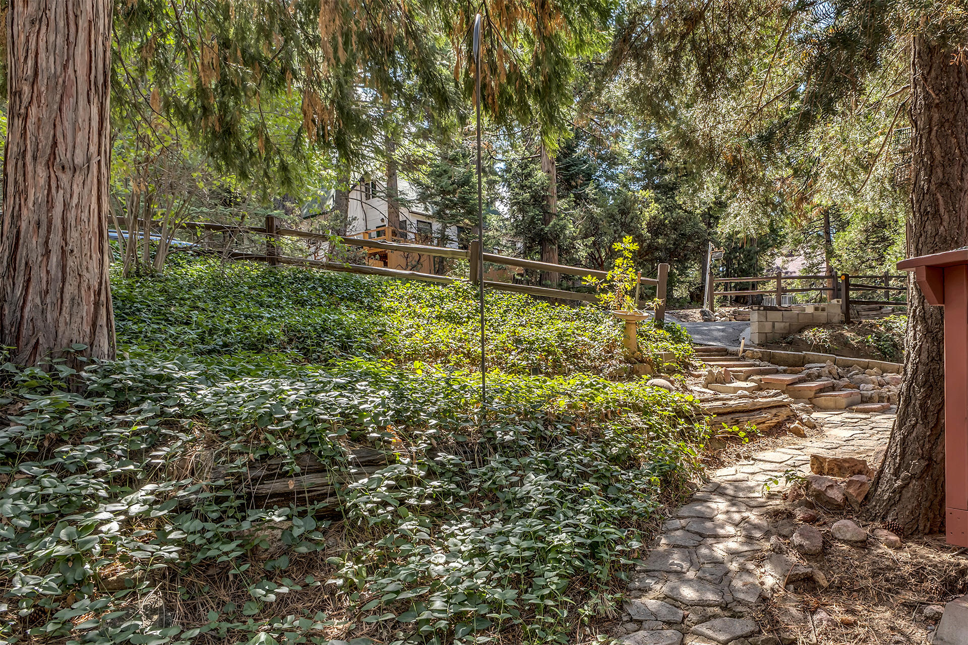 52680 Pine Ridge Road Idyllwild, CA 92549 - Photo 11 of 90 IMG_0150