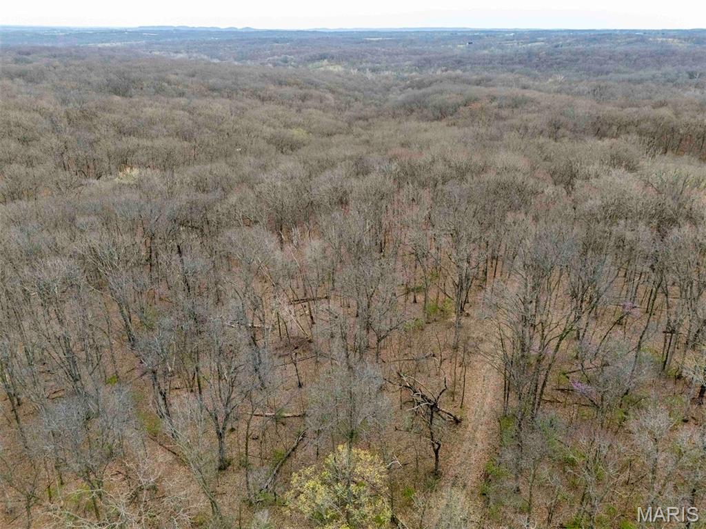 0 Pike 224 Eolia, MO 63344 - Photo 14 of 46