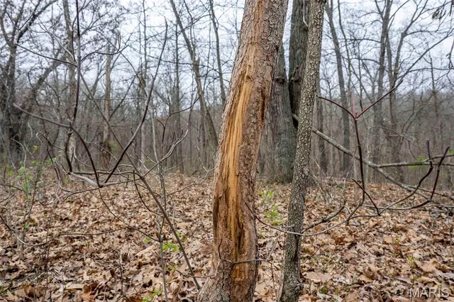 $430,000 | 0 Pike 224, Eolia, MO 63344