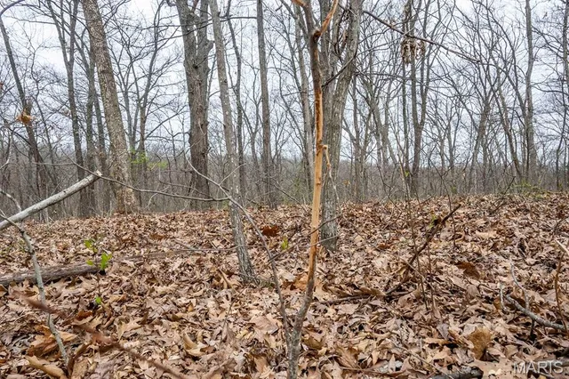 $430,000 | 0 Pike 224, Eolia, MO 63344