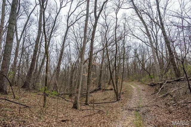 $430,000 | 0 Pike 224, Eolia, MO 63344