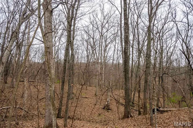 $430,000 | 0 Pike 224, Eolia, MO 63344