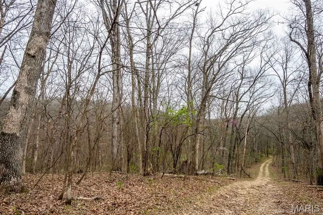 $430,000 | 0 Pike 224, Eolia, MO 63344