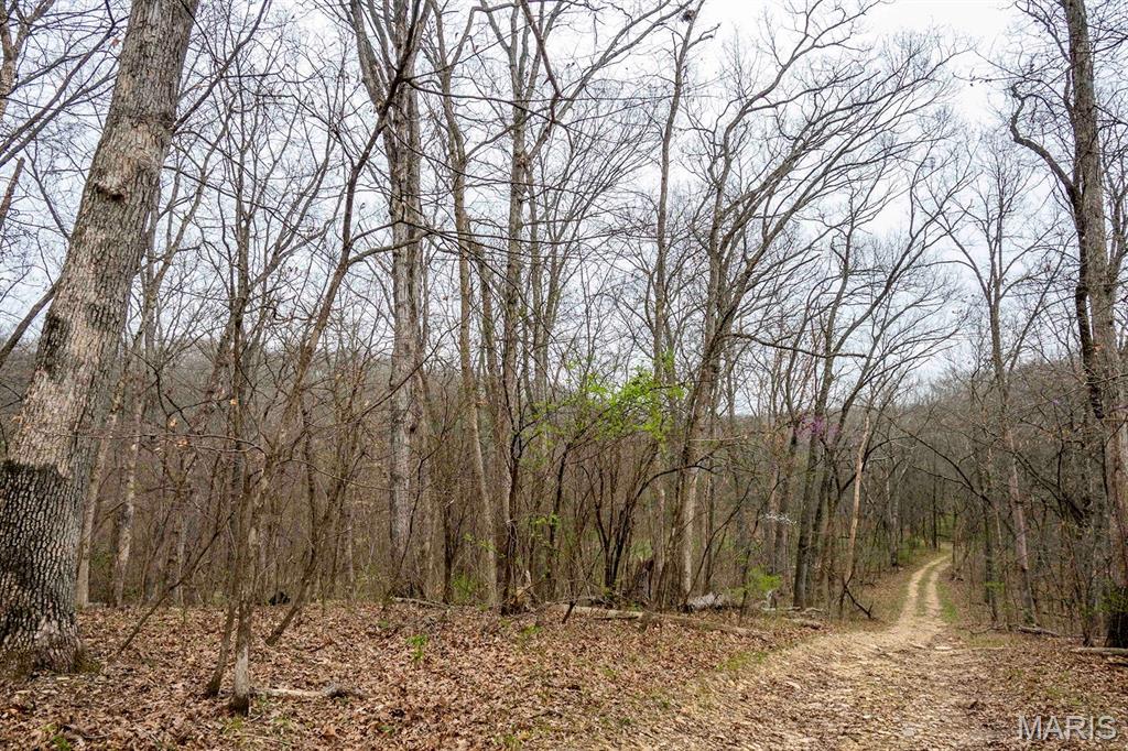 0 Pike 224 Eolia, MO 63344 - Photo 20 of 46