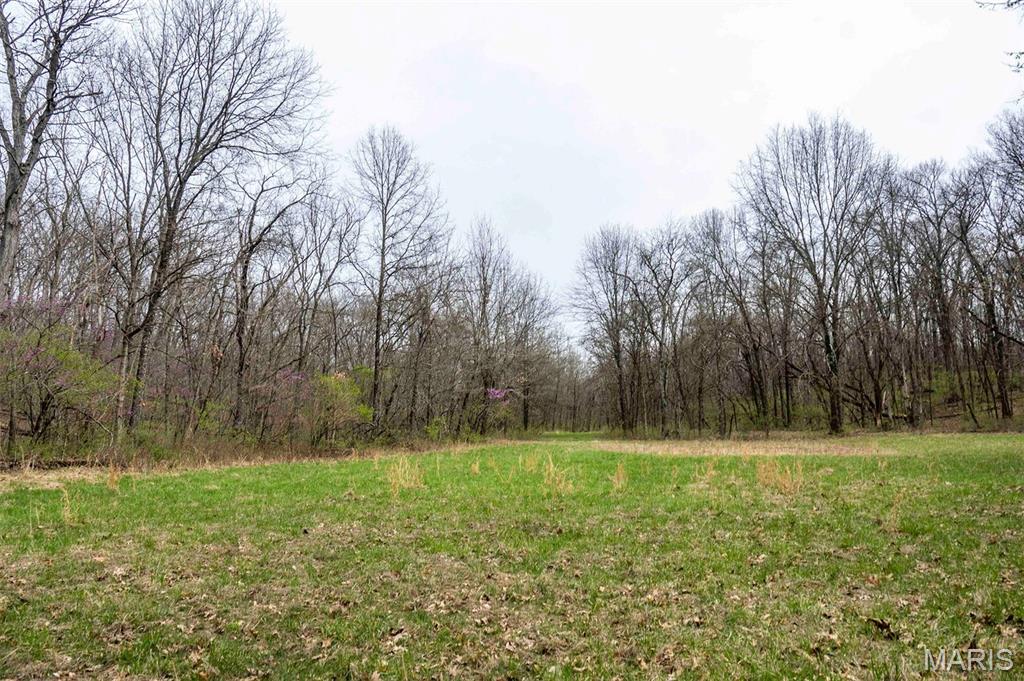 0 Pike 224 Eolia, MO 63344 - Photo 24 of 46