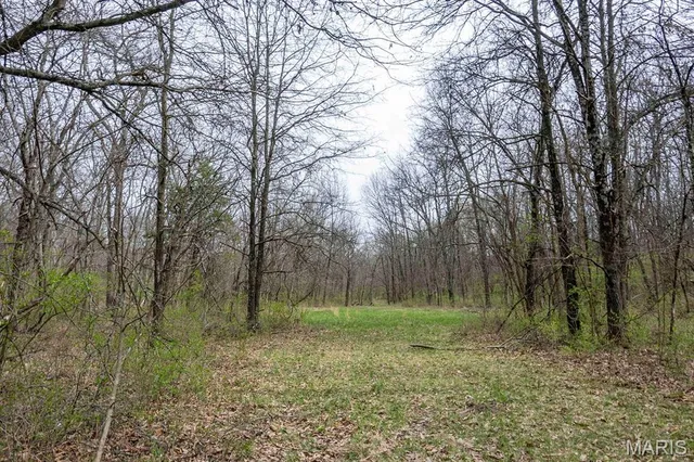 $430,000 | 0 Pike 224, Eolia, MO 63344