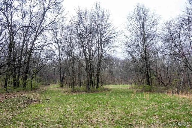 $430,000 | 0 Pike 224, Eolia, MO 63344