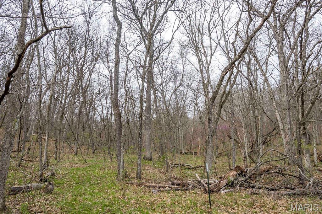 0 Pike 224 Eolia, MO 63344 - Photo 29 of 46