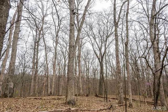 $430,000 | 0 Pike 224, Eolia, MO 63344