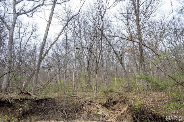 $430,000 | 0 Pike 224, Eolia, MO 63344