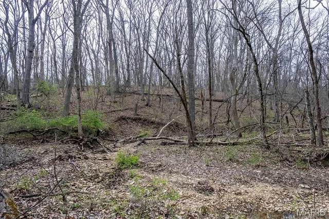 $430,000 | 0 Pike 224, Eolia, MO 63344