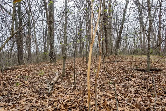 $430,000 | 0 Pike 224, Eolia, MO 63344