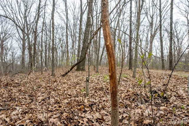 $430,000 | 0 Pike 224, Eolia, MO 63344