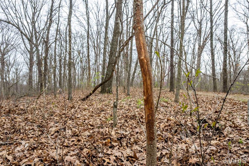 0 Pike 224 Eolia, MO 63344 - Photo 35 of 46