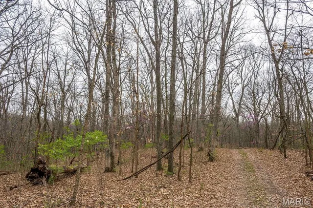 $430,000 | 0 Pike 224, Eolia, MO 63344