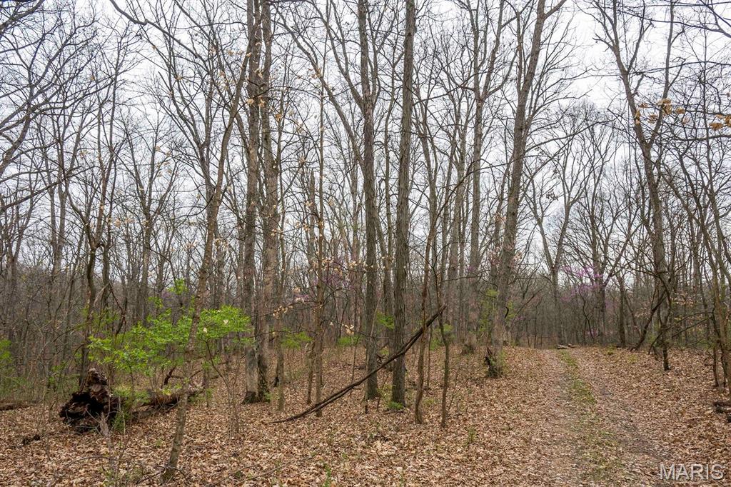 0 Pike 224 Eolia, MO 63344 - Photo 4 of 46