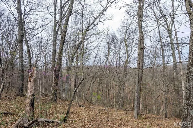 $430,000 | 0 Pike 224, Eolia, MO 63344