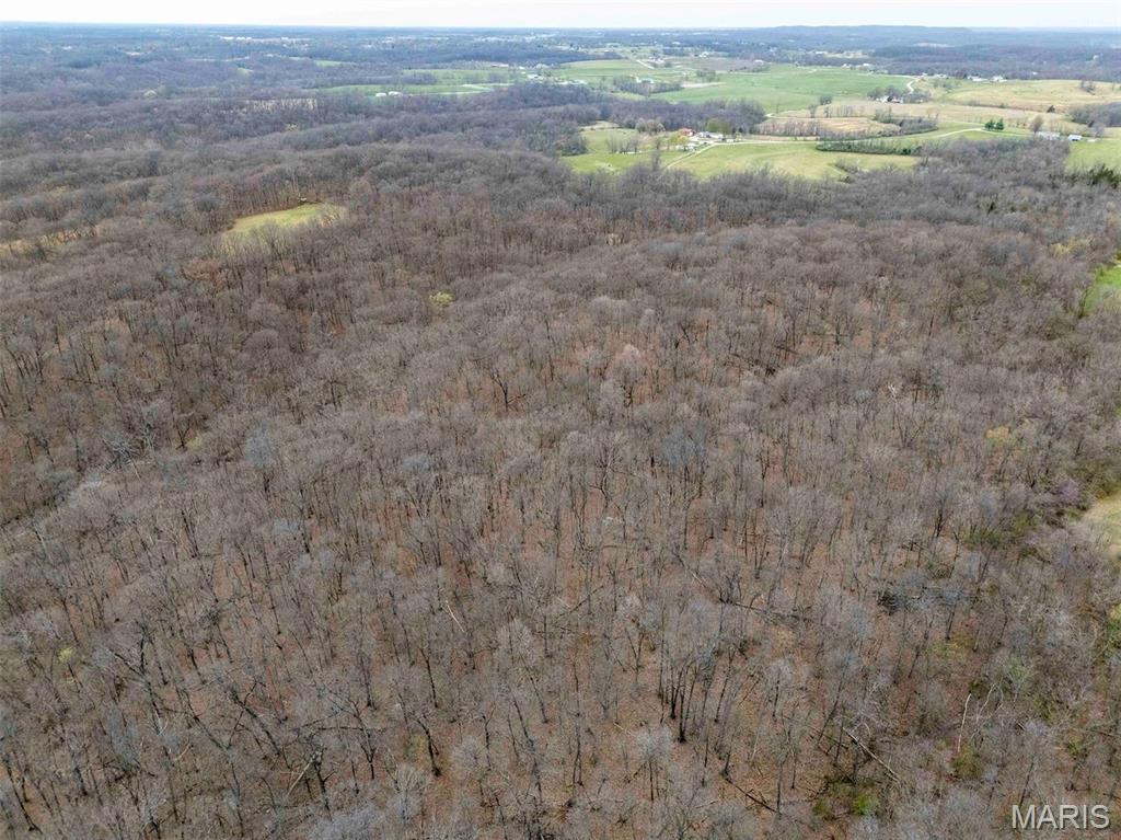 0 Pike 224 Eolia, MO 63344 - Photo 46 of 46