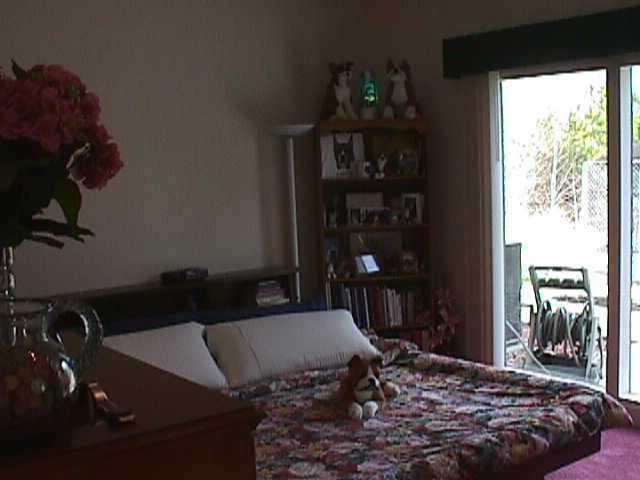 10840 East Brainerd Road Apison, TN 37302 - Photo 7 of 7 Additional Photo