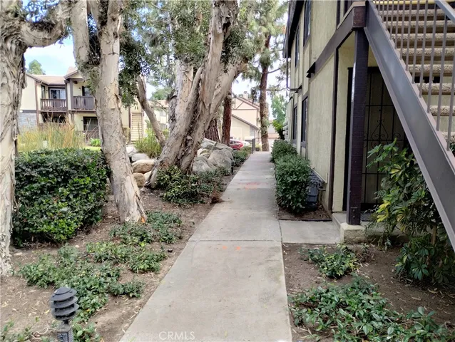 a view of path along with potted plants