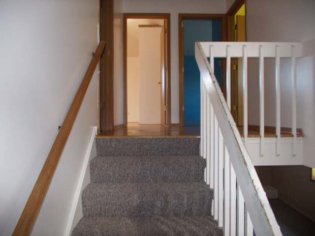 6200 Marsh Lane Matteson, IL 60443 - Photo 14 of 23 a view of entryway