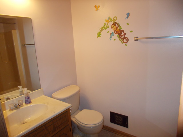 6200 Marsh Lane Matteson, IL 60443 - Photo 15 of 23 a bathroom with a sink a toilet and mirror