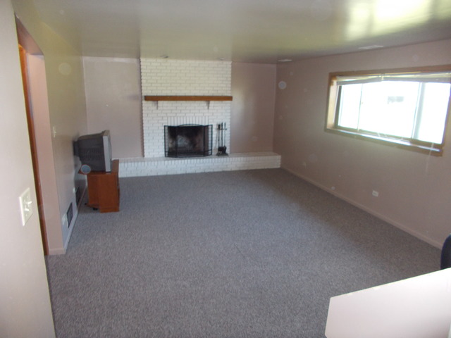 6200 Marsh Lane Matteson, IL 60443 - Photo 10 of 23 a living room with furniture and a fireplace