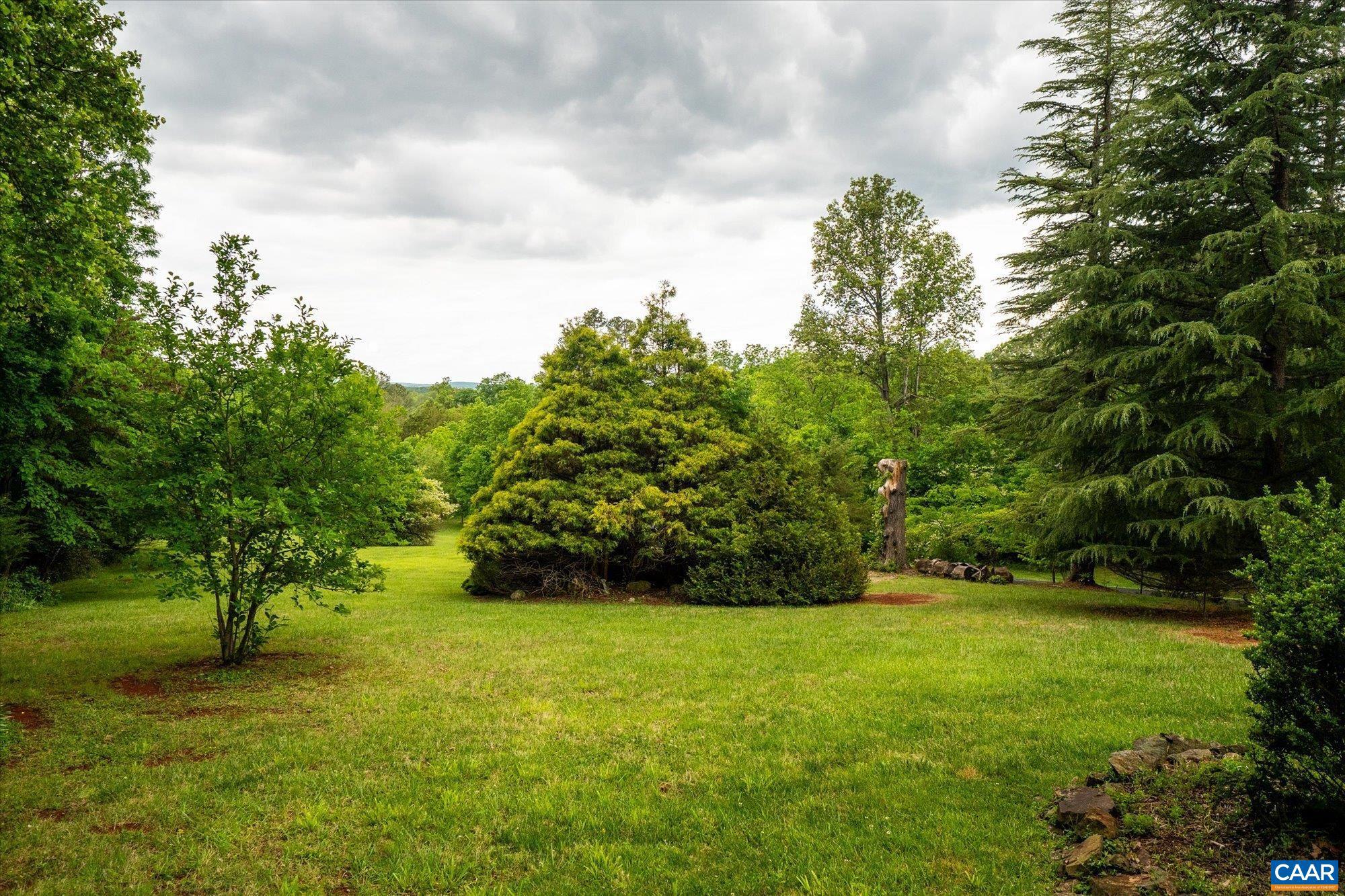 13320 Hackberry Road Orange, VA 22960 - Photo 44 of 47 a view of yard with green space