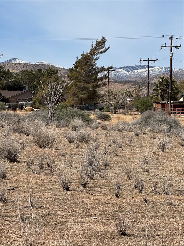 0 Minna Gombell Road Pioneertown, CA 92268 - Photo 11 of 17 a view of a dry yard with wooden fence
