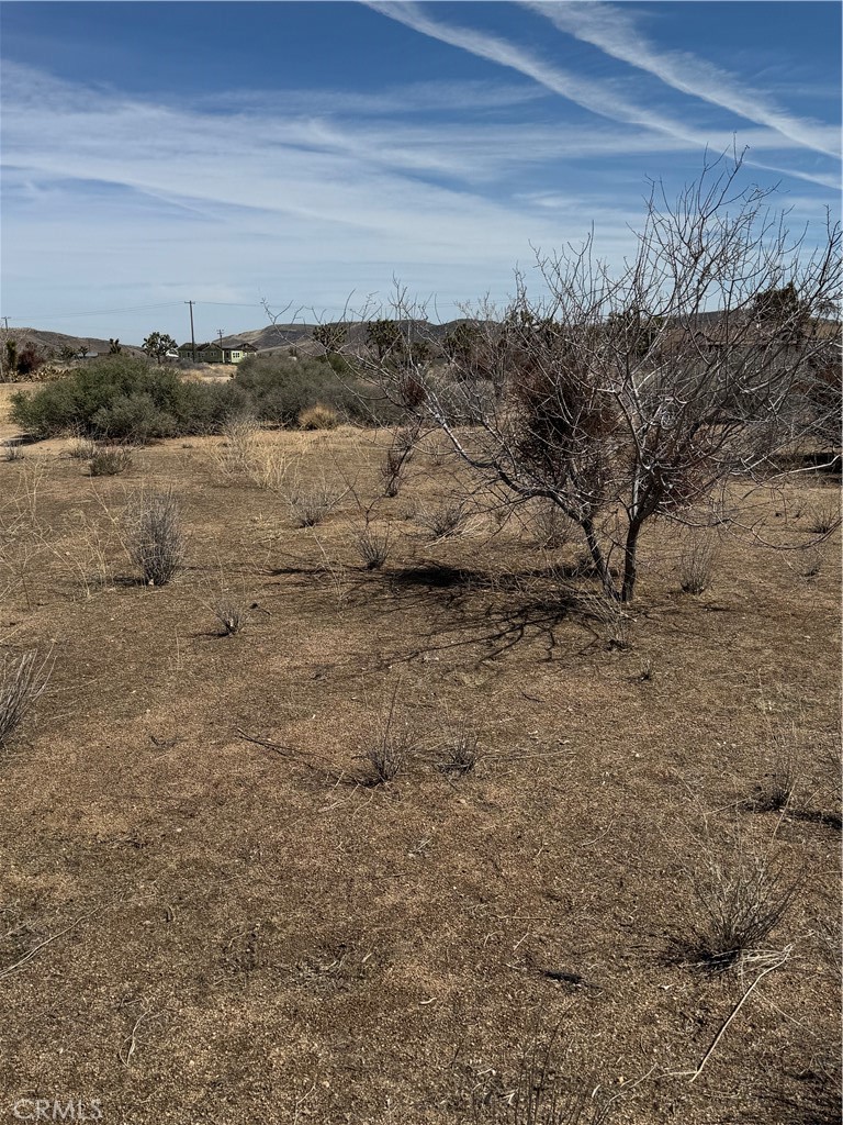 0 Minna Gombell Road Pioneertown, CA 92268 - Photo 2 of 17