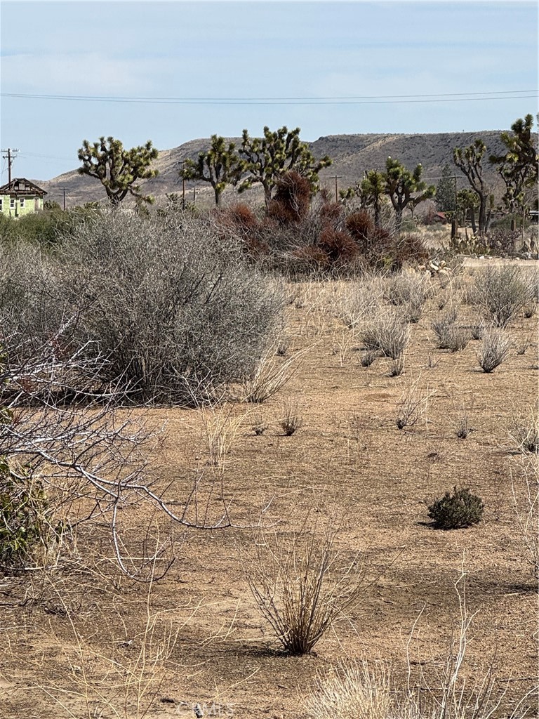 0 Minna Gombell Road Pioneertown, CA 92268 - Photo 3 of 17 a view of ocean beach and mountain