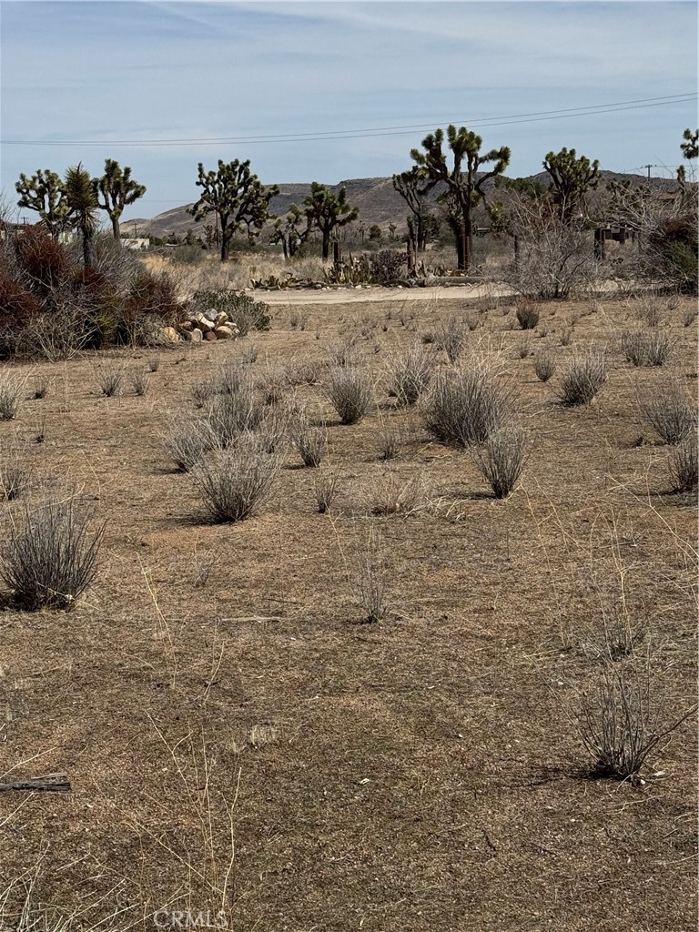 0 Minna Gombell Road Pioneertown, CA 92268 - Photo 9 of 17