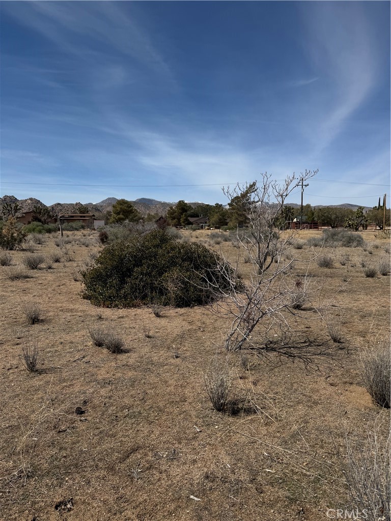 0 Minna Gombell Road Pioneertown, CA 92268 - Photo 10 of 17 a view of a dry field with trees in background