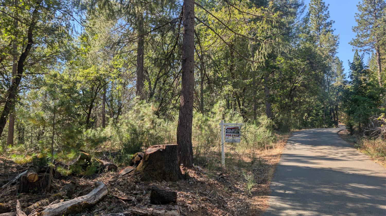 0 South Manzanita Hills Road Colfax, CA 95713 - Photo 3 of 15