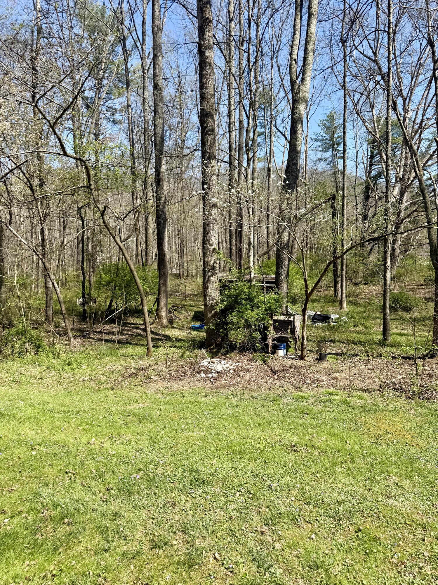 9851 Cranston Road Morehead, KY 40351 - Photo 30 of 52 IMG_9260