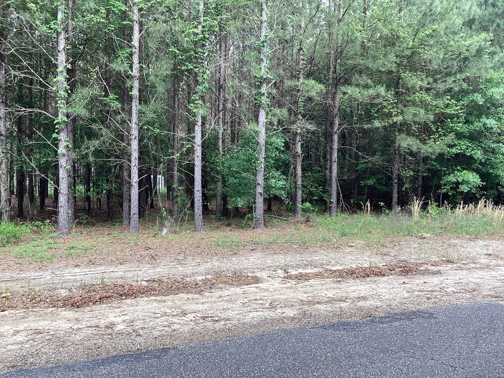 1290 Guy Branch Road Cottonwood, AL 36320 - Photo 5 of 20